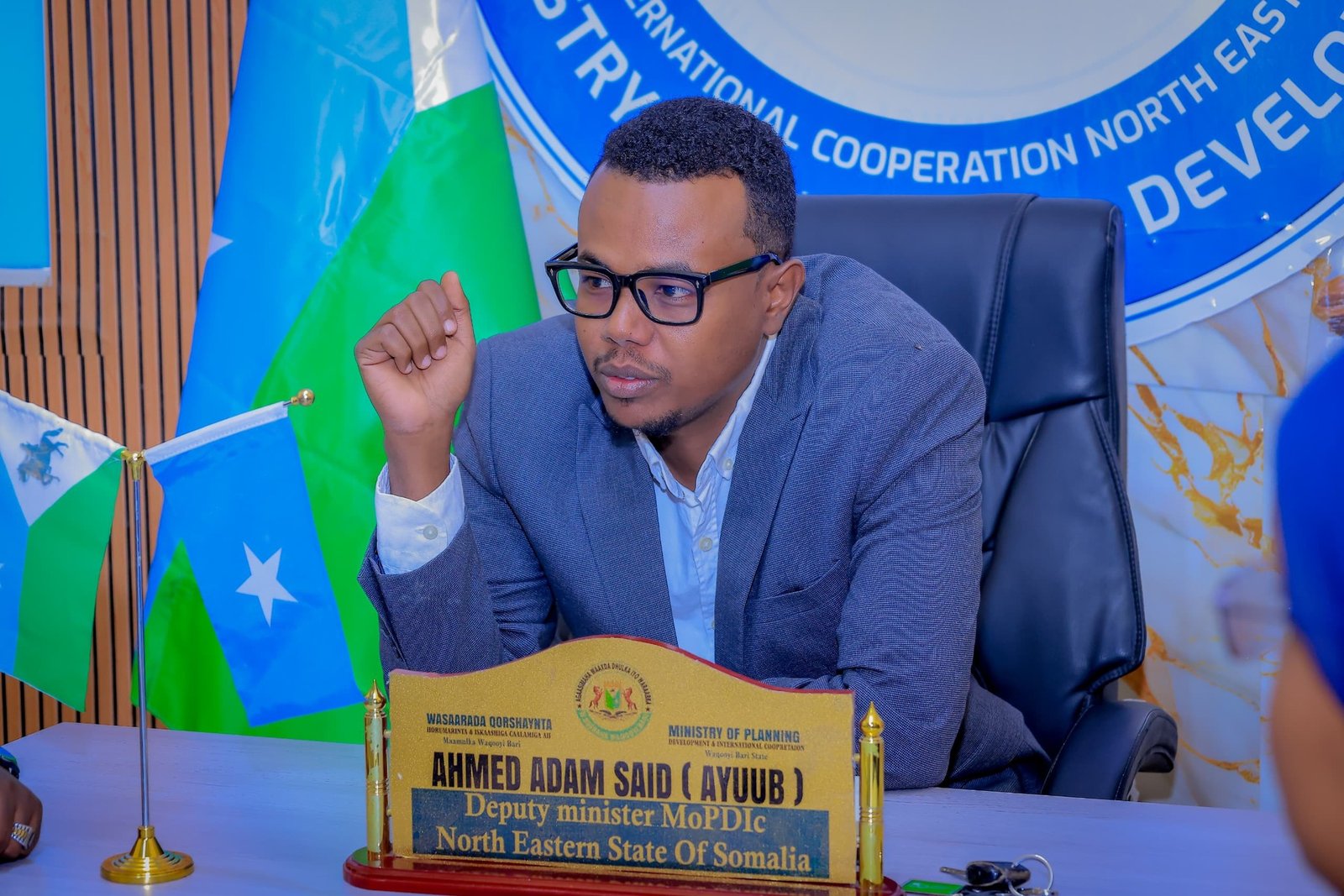 Deputy Minister